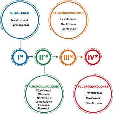 Frontiers Quinolones As A Potential Drug In Genitourinary Cancer   890337 Thumb 400 